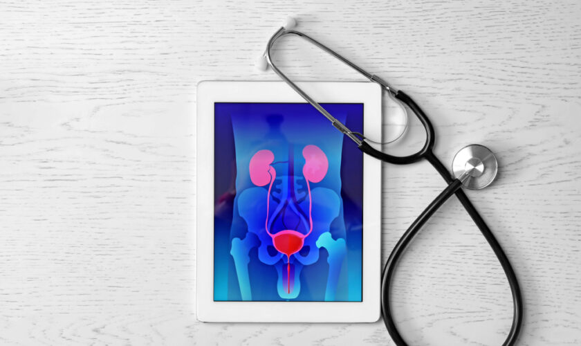 Tablet,Displaying,Urinary,System,And,Stethoscope,On,Wooden,Background.,Urology
